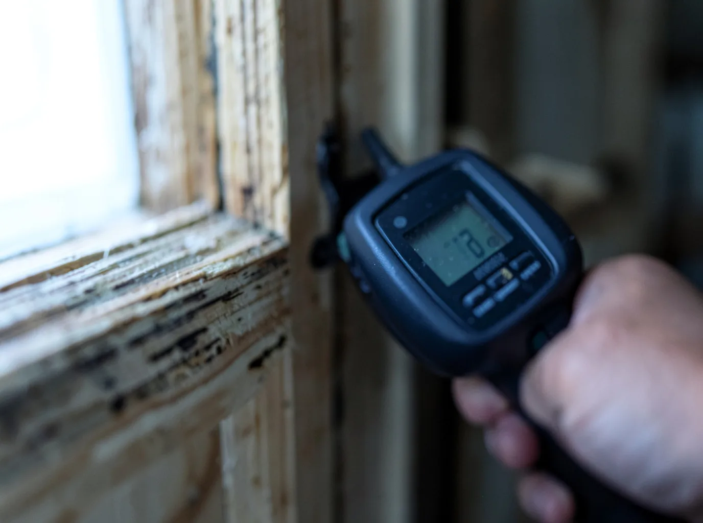 Water Damage Restoration Denio, NV FAQs